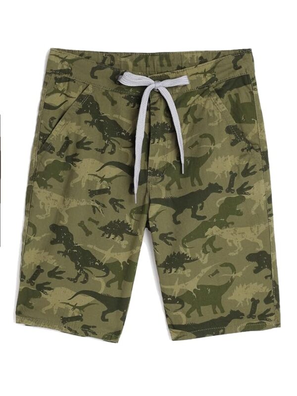 Printed Chino Fit Shorts For Boys